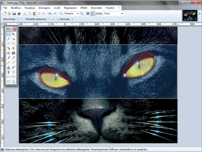 Ritaglio porzione di immagine